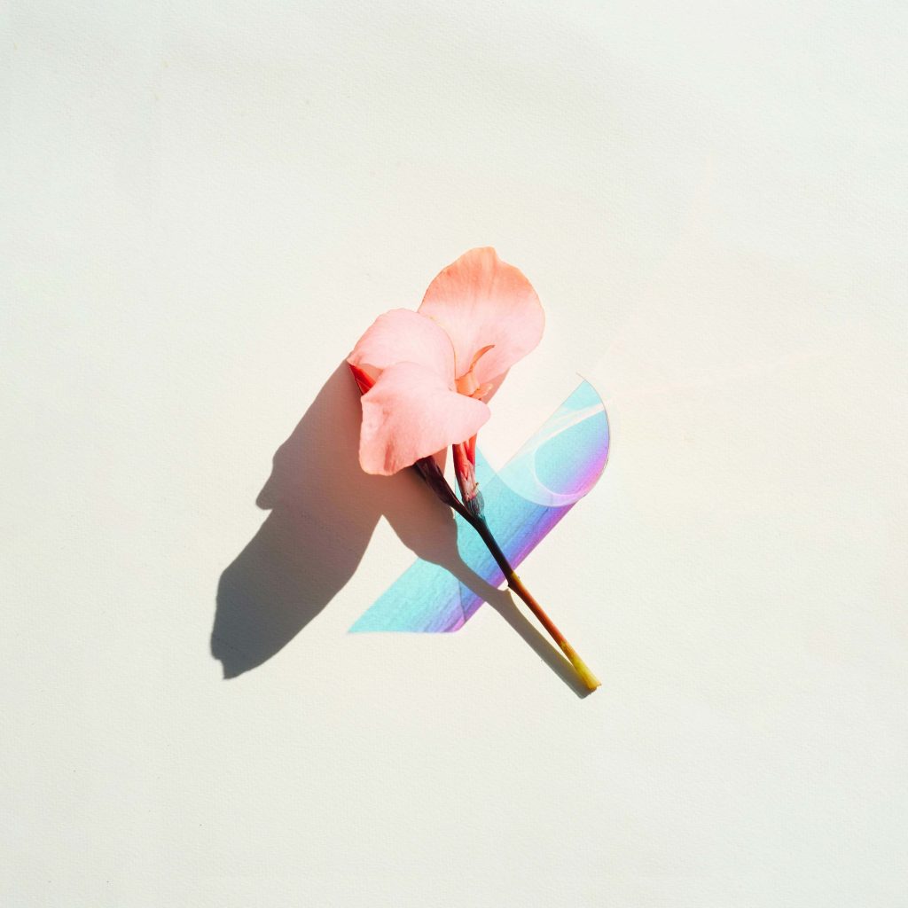 Evie S - All Humans Cry Music Distribution