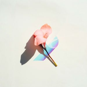 Evie S - All Humans Cry Music Distribution